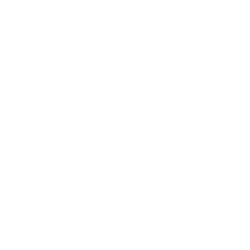 Logo icon